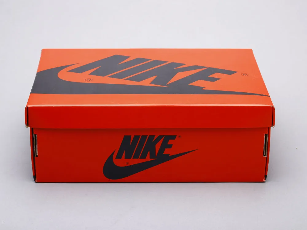 CE - AJ1 Fearless Chameleon