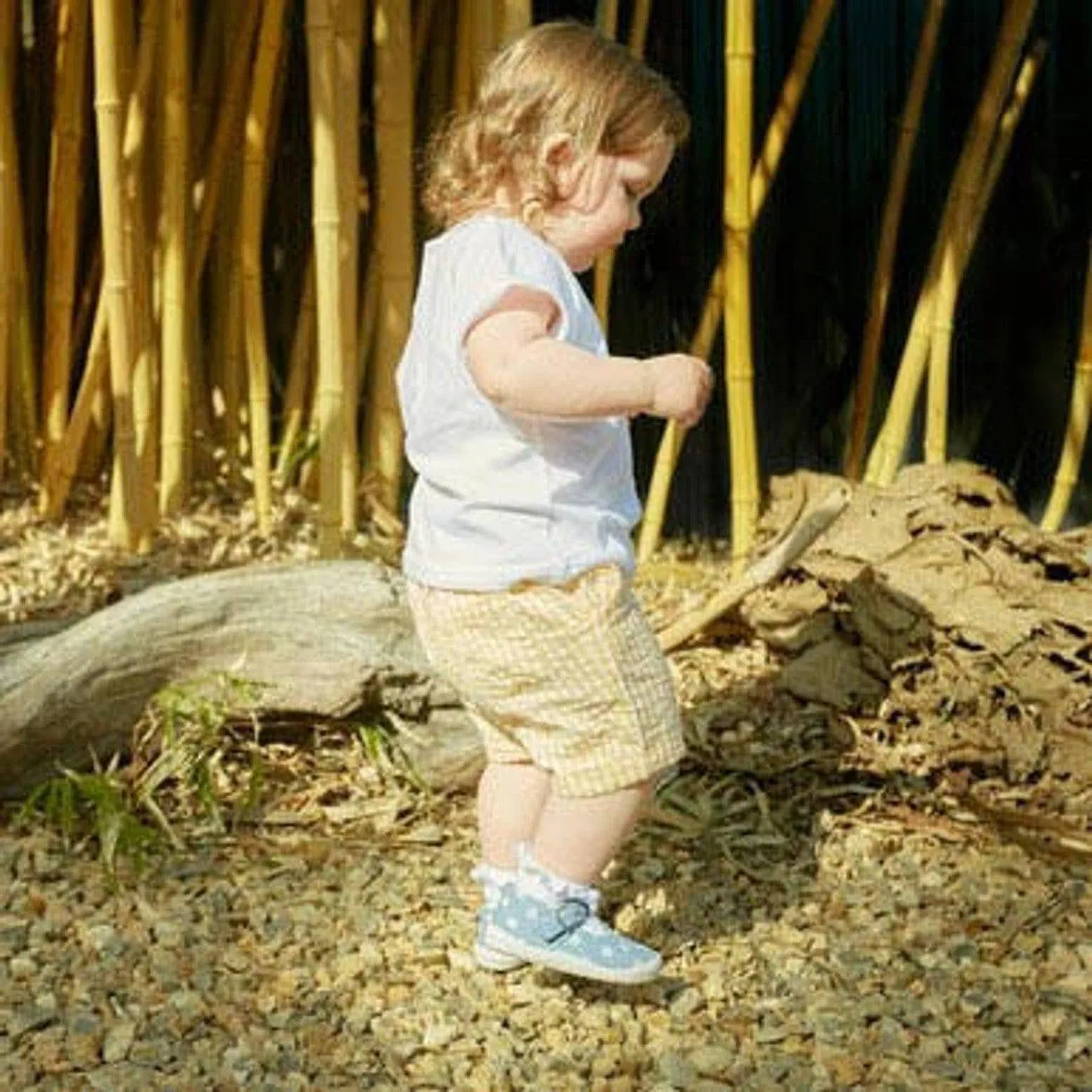 StartRite Bud 0811_2 Girls Blue Daisy Nubuck Buckle Shoes