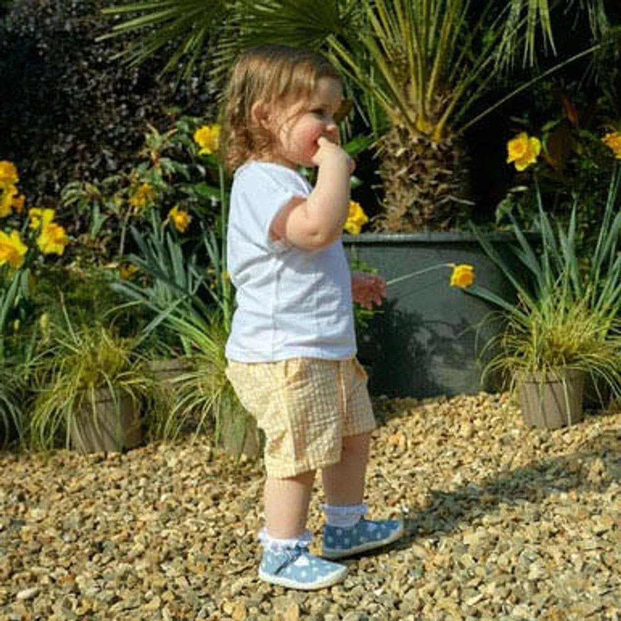 StartRite Bud 0811_2 Girls Blue Daisy Nubuck Buckle Shoes